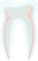 dente estrutura decoração Projeto tratamento estomatologia vetor