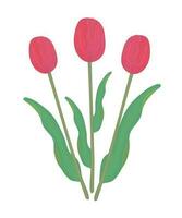 três vermelho tulipas com folhas, colorida ilustração vetor