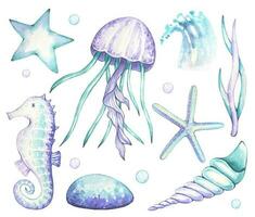 mar conjunto com cavalo marinho, algas, medusa, concha, dentro roxa e turquesa cores, aguarela vetor