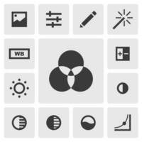 rodar ícone vetor Projeto. simples conjunto do foto editor aplicativo ícones silhueta, sólido Preto ícone. telefone inscrição ícones conceito. cor, matiz, saturação, ajustar, filtro, brilho, contraste ícone conjunto
