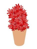 vetor vermelho gerânio flores ramalhete dentro Panela plano ilustração