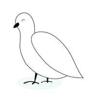 branco pomba animal vetor. pomba e paz, branco pássaro isolado, Pombo desenho animado ilustração vetor