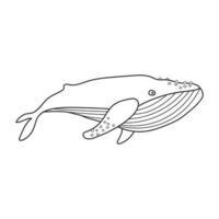 mão desenhado crianças desenhando desenho animado fofa azul baleia vetor ilustração isolado em branco fundo