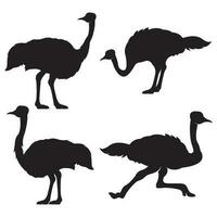 avestruz ícone vetor ilustração simples Projeto