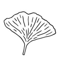 ginkgo biloba folha isolado em branco fundo. vetor desenhado à mão ilustração dentro esboço estilo. perfeito para cartões, decorações, logotipo, vários projetos.