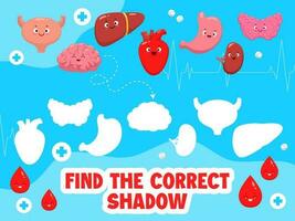 encontrar a corrigir sombra do corpo órgão personagens vetor