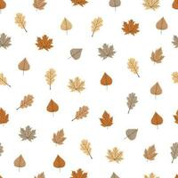 desatado padronizar com outono folhas. vetor pano de fundo dentro simples estilo para outono Projeto. mão desenhado vetor ilustração