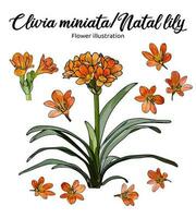 flores coloração livro mão desenhado ilustração vetor