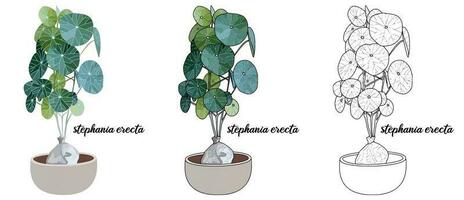 casa plantar coloração livro mão desenhado ilustração vetor