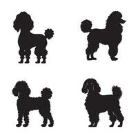 conjunto do poodle silhueta personagens com vetor ilustração