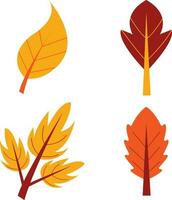 outono folhas conjunto ilustração. simples desenho animado plano estilo, vetor ilustração