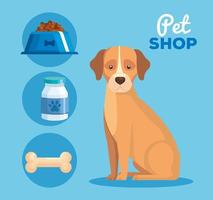 pet shop com cachorro e conjunto de ícones vetor