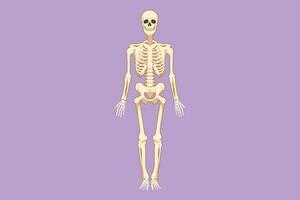 desenho animado plano estilo desenhando frente Visão do humano esqueleto imagem logotipo ícone, útil para criando médico e científico materiais. anatomia, remédio e biologia conceito. gráfico Projeto vetor ilustração