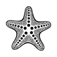 mão desenhado esboço do uma estrela do Mar. mar Estrela doodle. embaixo da agua oceano animal. monocromático ilustração isolado em uma branco fundo. vetor