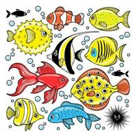 vetor conjunto desenho animado colori peixes e mar ouriço. mão desenhado coleção do fofa submarino animais. oceano criaturas. ilustração em marinho tema. colorida clipart isolado em branco fundo.