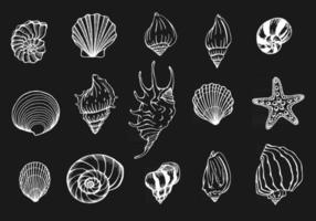 conjunto de vetores de conchas e estrelas do mar fundo marinho ilustrações desenhadas à mão perfeitas para saudações, convites, fabricação de papel de embrulho têxtil