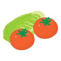 salada produtos ícone isométrico vetor. fresco chinês repolho perto dois vermelho tomate vetor