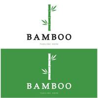 modelo de logotipo de bambu ilustração vetorial ícone design vetor