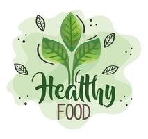 cartaz de comida saudável com folhas naturais vetor
