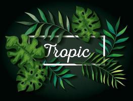 fundo de folhas tropicais naturais vetor