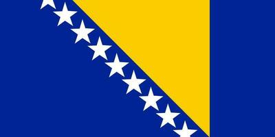 bandeira da Bósnia e Herzegovina. vetor