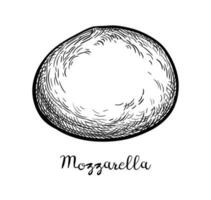 mozzarella queijo. tinta esboço isolado em branco fundo. mão desenhado vetor ilustração. vintage estilo acidente vascular encefálico desenho.