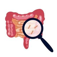 ilustração de infecção por salmonela no intestino vetor