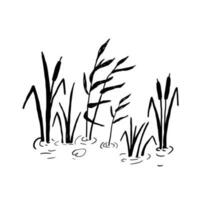 Preto silhueta do palhetas dentro pântano ou lago. vetor rabisco ilustração do pantanal isolado em branco fundo. tinta esboço