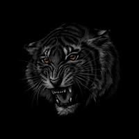retrato de uma cabeça de tigre em uma ilustração vetorial de fundo preto vetor