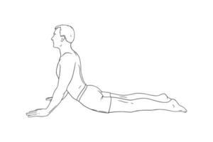 ioga cobra pose ou bhujangasana. homem praticando fortalecimento ioga pose. gravado vetor ilustração