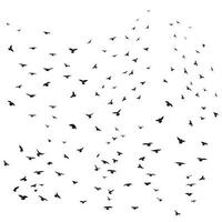 esboço desenhando do uma silhueta do uma rebanho do pássaros vôo avançar, agarrar-se junto. decolar, vôo, voo, vibração, flutuar, subindo, aterrissagem vetor
