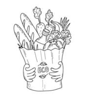 mãos segurando eco saco com produtos. vetor ilustração. esboço esboço. papel saco com comida, vegetais, frutas, óleo garrafa e baguete. ecologia conceito, reciclando, mercearia compras e Entrega.