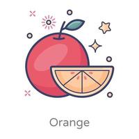 frutas cítricas laranja vetor