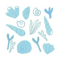 conchas, coral e algas elementos. mão desenhado mar inferior gráfico elementos. praia, verão, período de férias. vetor