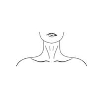 mulheres ombros. 1 linha desenhando do uma fêmea corpo em uma branco isolado fundo. vetor ilustração