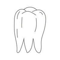 odontologia. oral higiene. Cuidado e tratamento. dentes vetor