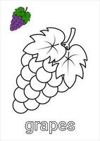 desenho de uvas para colorir para crianças vetor