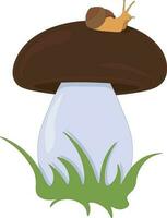 minúsculo Caracol em Porcini cogumelos chapéu vetor ilustração