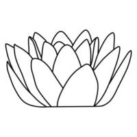 sakura cereja Flor flor linha arte vetor ilustração