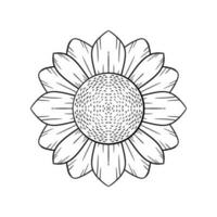 flor isolado branco fundo adequado para a logotipo vetor