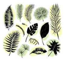 ilustração conjunto do tropical plantas e folhas, mão desenhado estilo, esboço esboço. vetor