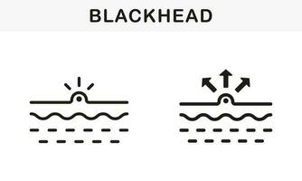cravo, pele acne, venha fazer linha e silhueta Preto ícone definir. espinha e inflamação sebo pictograma. profundo sujo poro, pele problema símbolo coleção. isolado vetor ilustração.