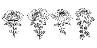 lindo mão desenhado flor rosas vetor