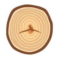 árvore tronco madeira anel. árvore tronco Cruz seção. madeira fatia cortar isolado em branco fundo. vetor