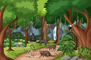 cena da floresta tropical com vários animais selvagens vetor