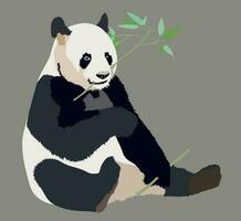 realista grande panda sentado e comendo bambu isolado ilustração vetor