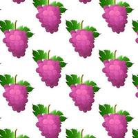 desatado padronizar rosa, roxa uva grupo com bagas e folhas isolado em branco fundo. para natureza ou saudável Vitamina Comida Projeto. vetor ilustração