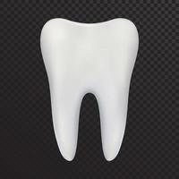 símbolo de dente molar de vetor realista de odontologia e saúde dos dentes