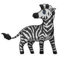 zebra engraçada dos desenhos animados no fundo branco vetor
