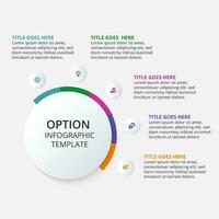 cinco 5 passos opções círculo o negócio infográfico modelo Projeto vetor